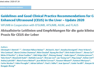 Guidelines and Good Clinical Practice Recommendations for Contrast Enhanced Ultrasound (CEUS) in the Liver – Update 2020